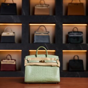 Hermès Birkin 20 Vert d'Eau Gold Hardware Crocodile matte 2023 New Full Set - Exotic Boutique Dubai