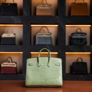 Hermès Birkin 20 Vert d'Eau Gold Hardware Crocodile matte 2023 New Full Set - Exotic Boutique Dubai