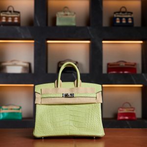 Hermès Birkin 25 Jaune Bourgeon Matte Crocodile Leather with Palladium Hardware - 2025 Full Set - Exotic Boutique Dubai