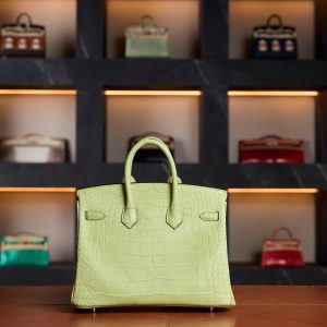 Hermès Birkin 25 Jaune Bourgeon Matte Crocodile Leather with Palladium Hardware - 2025 Full Set - Exotic Boutique Dubai