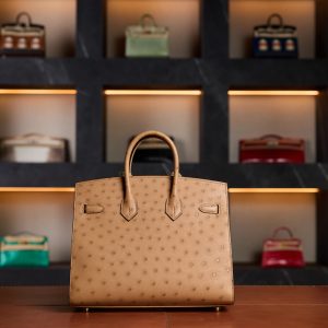Hermès Birkin 25 Gold Ostrich Leather with Gold Hardware - 2025 Full Set - Exotic Boutique Dubai
